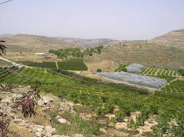 Khirbet_Seilun_31