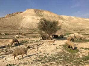 Gilgal_from_Bible