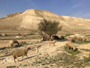 Gilgal_from_Bible