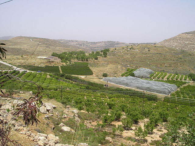 Khirbet_Seilun_31
